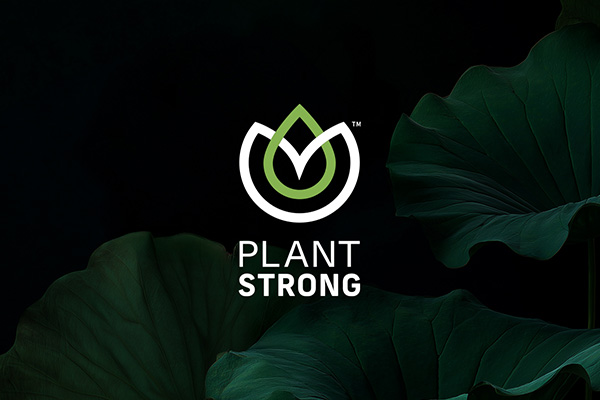 Brand Identity Design